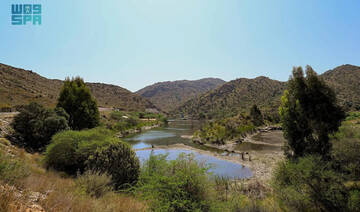 Verdant sceneries of Al-Baha 