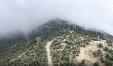 How Saudi forestry supports biodiversity and mitigates the effects of climate change