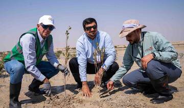Mangrove scheme to plant 3m trees in Jubail