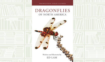 What We Are Reading Today: ‘Dragonflies of North America’ by Ed Lam