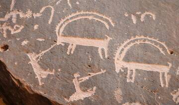 More large mammals once roamed Saudi Arabia than previously thought