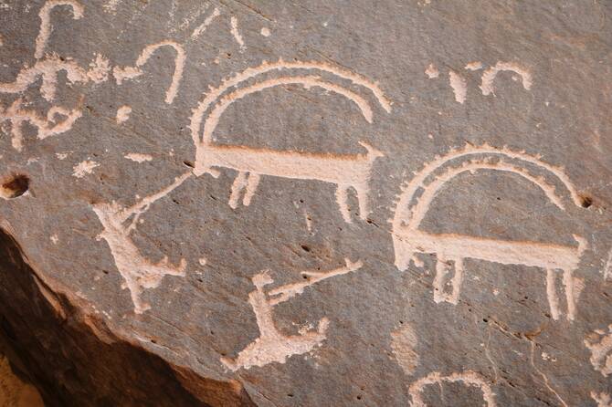 More large mammals once roamed Saudi Arabia than previously thought