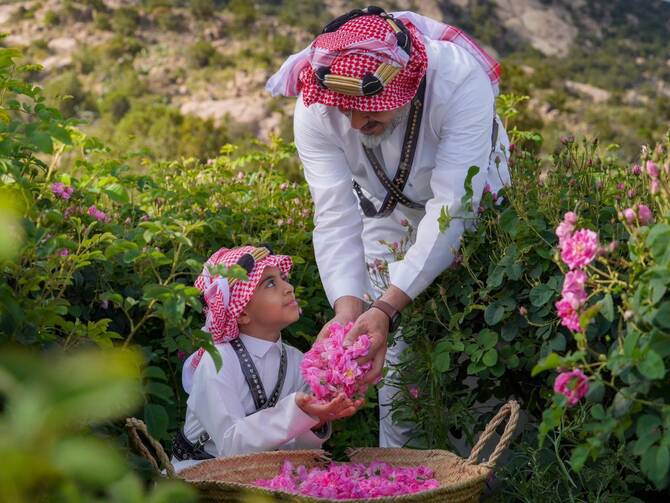 Taif rose farmers bid farewell to their most treasured harvest as season ends