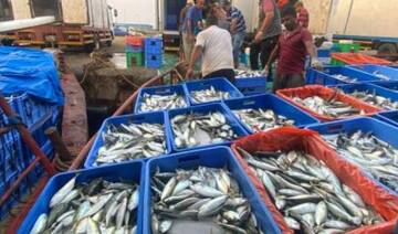Kunnah season marks peak of Jazan’s fishing wealth