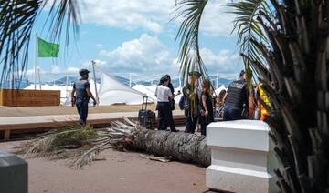 Man badly hurt by falling palm tree at Cannes film festival