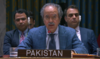 Pakistan hails US-Houthi ceasefire at UN, urges inclusive political process in Yemen