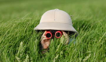 Little Explorers 